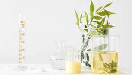 Los Estados miembro de la Unión Europea han respaldado una propuesta legislativa que apoya el futuro de los aceites esenciales e ingredientes naturales utilizados en perfumes y cosméticos