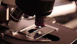 El gigante francés se alía con laboratorios Bakar con el objetivo de crear modelos de piel 3D para testar sin animales