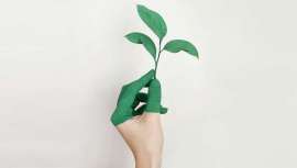 Preservar el medioambiente y revertir acciones que llevan a su degradación es una cuestión global en la que todos los esfuerzos son necesarios y a los salones de peluquería también les compete. Te contamos cuáles son las medidas a implementar