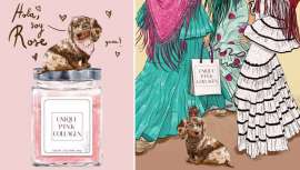 Diseñada con el objetivo de convertirse en una compañera cercana para todos los amantes de Unique Pink Collagen, esta adorable mascota de ojos azules y pequeño tamaño llamada Rose se convierte en vivo reflejo de la marca...