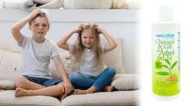 Es bastante frecuente que en los centros escolares se reciba la temida alerta por piojos entre padres y profesores, que pone a todo el mundo en conocimiento de que estos incómodos visitantes capilares ya están entre algunos niños