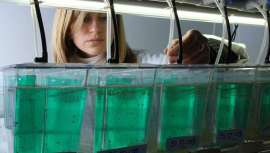 La famosa compañía ha hecho pública su inversión en la empresa de biotecnología china Shinehigh Innovation al objeto de seguir revolucionando en materia de innovación beauty