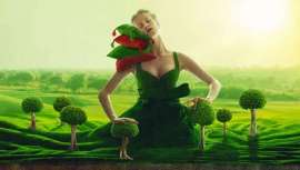 La naturalidad y la sostenibilidad han ido en aumento desde hace muchos años, y se han vuelto inevitables, especialmente en el mercado de la cosmética, de ahí las nuevas tendencias en ingredientes naturales y sensibles 