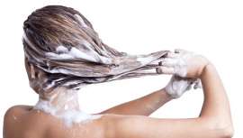 La higiene es una prioridad a la hora de mantener sanos el cabello y el cuero cabelludo, definiendo el tipo de champú adecuado a cada problema