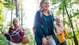 Los expertos sustentan el antiaging, además de en el uso de las plantas adecuadas de la cosmética botánica, en estos tres pilares: mantener activa la oxigenación celular, combatir la infamación silenciosa y luchar contra la oxidación de las células