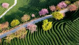 Proporciona 16 indicadores de impacto de huella ambiental del producto (PEF), teniendo en cuenta las actividades de la cadena de suministro de principio a fin, ofreciendo así a las empresas una evaluación completa