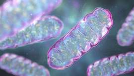 El fondo de capital riesgo de LOréal invierte en Timeline, empresa suiza de biotecnología de la longevidad 