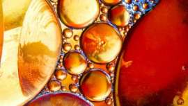 Te contamos qué es y cuáles son sus superpoderes 