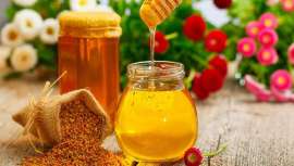 Una guía que te acerca al mundo de las plantas medicinales de manera sencilla, diseñada para informar sobre los detalles del origen, beneficios y aplicaciones terapéuticas de diversas plantas utilizadas en fitoterapia