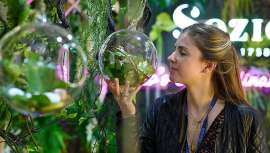 La Zona de Innovación de in-cosmetics Global de este año, exposición dedicada a los ingredientes para el cuidado personal, mostrará más ingredientes nuevos que nunca cuando regrese a París del 16 al 18 de abril próximos 