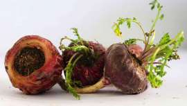 Esta planta, que crece en los Andes Peruanos, ofrece una variedad de nutrientes, incluyendo carbohidratos, proteínas, fibras, grasas saludables, vitaminas y minerales, para ser el aliado perfecto para tu vitalidad y deseo sexual