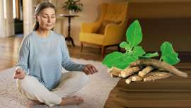 Domma incluye este ingrediente en Equilibrio, su mix de superalimentos y adaptógenos de transición menopáusica