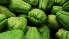 Es el filtro biológico más potente -y polivalente- que la naturaleza nos ha dado porque protege al tiempo que repara el ADN