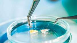 Como complemento a una estrategia activa diseñada para desarrollar productos ecodiseñados, Pierre Fabre se ha asociado con la Universidad de la Sorbona en Francia para apoyar el innovador proyecto Green Bioplastics