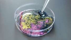 Investigadores del CSIC han desarrollado un método escalable para producir nanoflores de óxido de hierro que son capaces de extraer y degradar microplásticos provenientes de cosméticos en agua