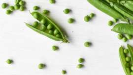 La proteína de guisante: el ingrediente soñado para tu melena en esta temporada. Descubre cómo este antiguo aliado, rico en aminoácidos y vitaminas, puede transformar tu cabello y hacerlo brillar como nunca