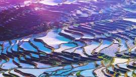 Hydrafence revoluciona la hidratación con una fórmula innovadora que refuerza la barrera cutánea y proporciona hasta 120 horas de protección