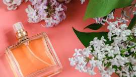 Scentree, la plataforma gratuita sobre ingredientes de perfumería, se renueva por completo. Nuevo diseño, más datos y acceso abierto para profesionales del sector