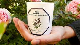 Desde Normandía, Carrière Frères transforma el arte de perfumar con velas sostenibles, donde la innovación floral se une al lujo consciente