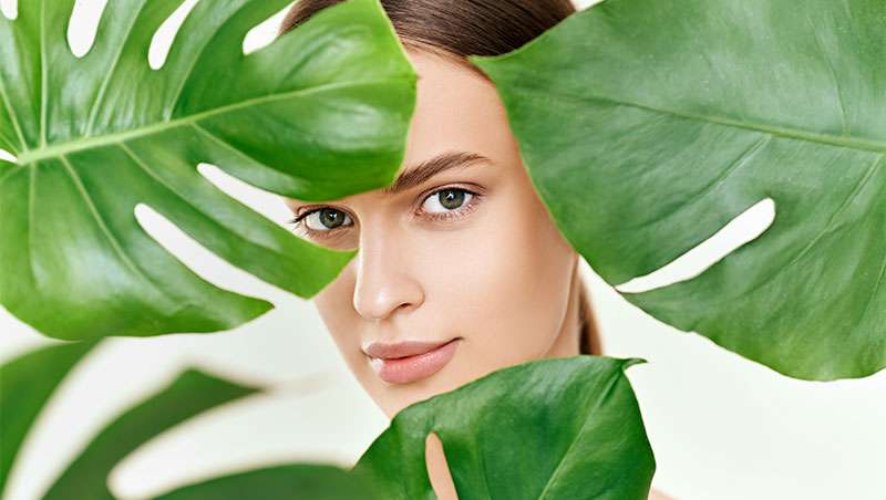 Un camino hacia la pureza y la responsabilidad