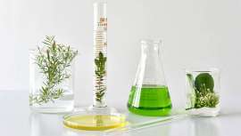 La naturaleza sigue siendo una fuente inagotable de inspiración para la innovación cosmética. La biotecnología potencia sus beneficios y los transforma en activos altamente eficaces