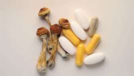 En las últimas décadas, la psilocibina -compuesto psicodélico presente en los llamados hongos mágicos- ha resurgido como una herramienta terapéutica prometedora