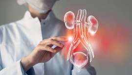 Tratar las infecciones de orina hoy va más allá de tomar un antibiótico: implica un enfoque integral que combina medicina, prevención y autocuidado