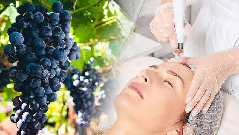 El mercado global de exosomas de uva prev triplicar su valor hasta 2031 impulsado por la biotecnologa