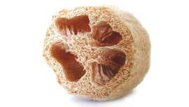 La esponja siempre ha sido un utensilio que hemos tenido en el baño y al que rara veces le hacemos un caso especial más allá de su función de enjabonarnos