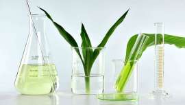 El Parlamento Europeo limita el alcance de la nueva directiva de diligencia y despierta la preocupación en la industria cosmética por el posible retroceso en materia de sostenibilidad y transparencia