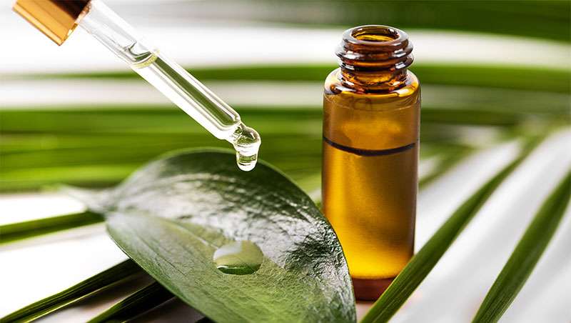 El comité científico de la UE emite su dictamen final sobre el aceite de árbol de té en cosmética