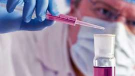 El experimento ha conseguido aumentar un 12% la esperanza de vida en ratas sumistrándoles un cóctel de aminoácidos esenciales