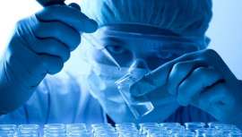 La investigación con células madre ha entrado de lleno en la regeneración capilar. Las últimas investigaciones sugieren que encontrar el crecepelo totalmente eficaz es sólo cuestión de tiempo