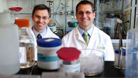 Ahora se sabe que los efectos de las sirtuinas sobre la longevidad no están tan claros en mamíferos, aunque sí está demostrado que sus efectos ayudan a la protección contra las enfermedades relacionadas con el envejecimiento