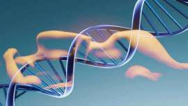 Conocer los genes personales permite elaborar una dieta personalizada