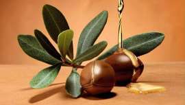Conocido por sus propiedades cosméticas, medicinales y nutritivas, el aceite de argán estimula la oxigenación celular de la piel y la hidrata actuando contra la sequedad y el envejecimiento; además, fortalece el cabello dañado y las uñas frágiles