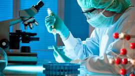 Muchos famosos han decidido recurrir al trasplante capilar para solucionar su problema de alopecia androgenética. El microinjerto con Sérum Plat hace que el pelo crezca más rápido, en menos tiempo y con más fuerza