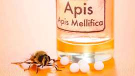 Apitoxina o veneno de abeja: ¿alternativa natural al bótox?