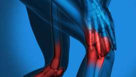 Investigadores españoles patentan un sistema a partir de células madre y carbón activado