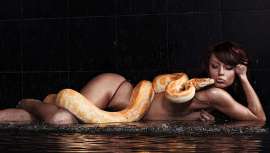 Un spa indonesio realiza masajes con pitones que llegan a medir hasta 1,8 metros de largo. Su oferta atrae a un número regular de clientes, la mayoría turistas extranjeros que buscan sensaciones fuertes