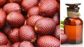 Utilizado desde siempre por los habitantes de la zona para el cuidado de la piel y el cabello, este aceite forma parte de la composición de muchos productos cosméticos