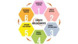 En este seminario se analizarán los recursos necesarios para ofrecer un plan de adelgazamiento integral a tus clientes. La clave es la sinergia entre la aparatología, la cosmética y la dieta