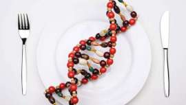 Aplicando los últimos avances científicos en el estudio del ADN y las moléculas de los alimentos, ahora se puede conseguir la dieta perfecta para cada individuo