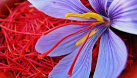 Aunque más conocido por sus usos culinarios, esta especia tiene también grandes propiedades curativas y beneficios para la piel