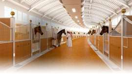 En el país del lujo, hasta los caballos son cuidados con mimo y disfrutan de los baños más relajantes