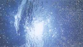 Tres cuartas partes de nuestro cuerpo son agua, elemento indispensable para mantenerlo fuerte, sano y bello. Hoy te desvelamos que el truco de los mejores cosméticos es el agua que utilizan en sus fórmulas.