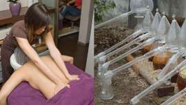 Las terapias basadas en remedios de espagirya siempre son personalizados, y se establecen teniendo en cuenta posibles tratamientos de medicina convencional que se lleven a cabo de forma paralela