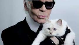 Choupette es la musa perfecta para el diseñador. Se trata de la niña bonita del Káiser de la moda, muchas veces fuente para su inspiración. Ahora la firma cosmética Shu Uemura la ha elegido para protagonizar una colección cápsula de maquillaje