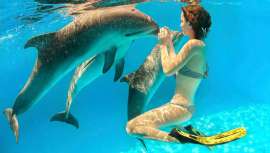 Este reciente método está impulsado por un veterinario que defiende como precepto principal la bondad de beber medio litro diario de agua mar