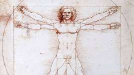 Dime de dónde eres y te diré qué intervención escoges. Según un informe de la Sociedad Internacional de Cirugía Plástica y Estética, el origen, la cultura y el sexo influyen en el envejecimiento de la piel y los procedimientos estéticos realizados